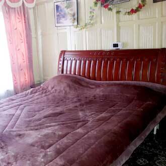 Golden Bell Houseboat, Srinagar 2